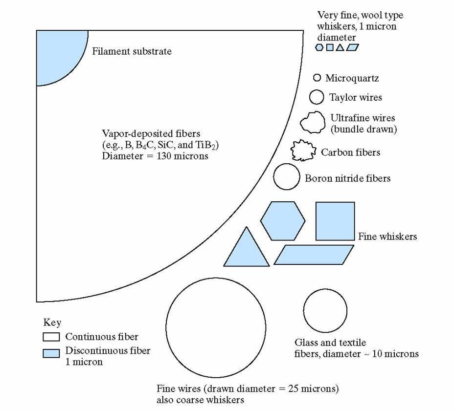 Relative cross-sectional areas and shapes of a wide variety of reinforing fibers.